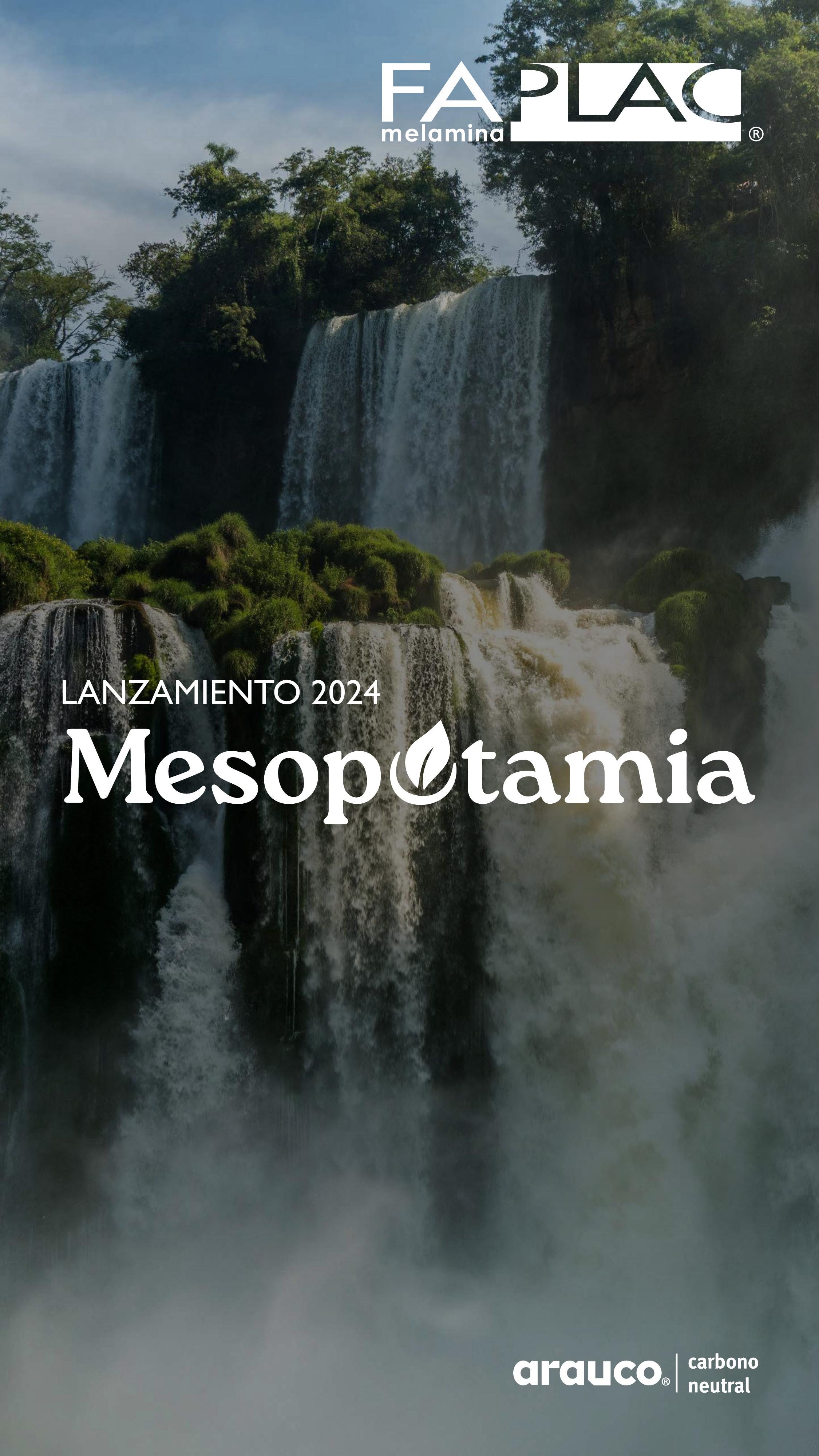 Color 360° y Faplac 2024